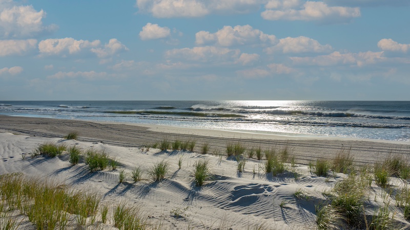 Things To Do callout