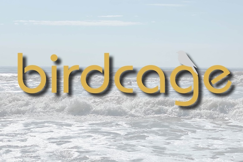 Things To Do Birdcage